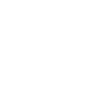 Skyworks Logo